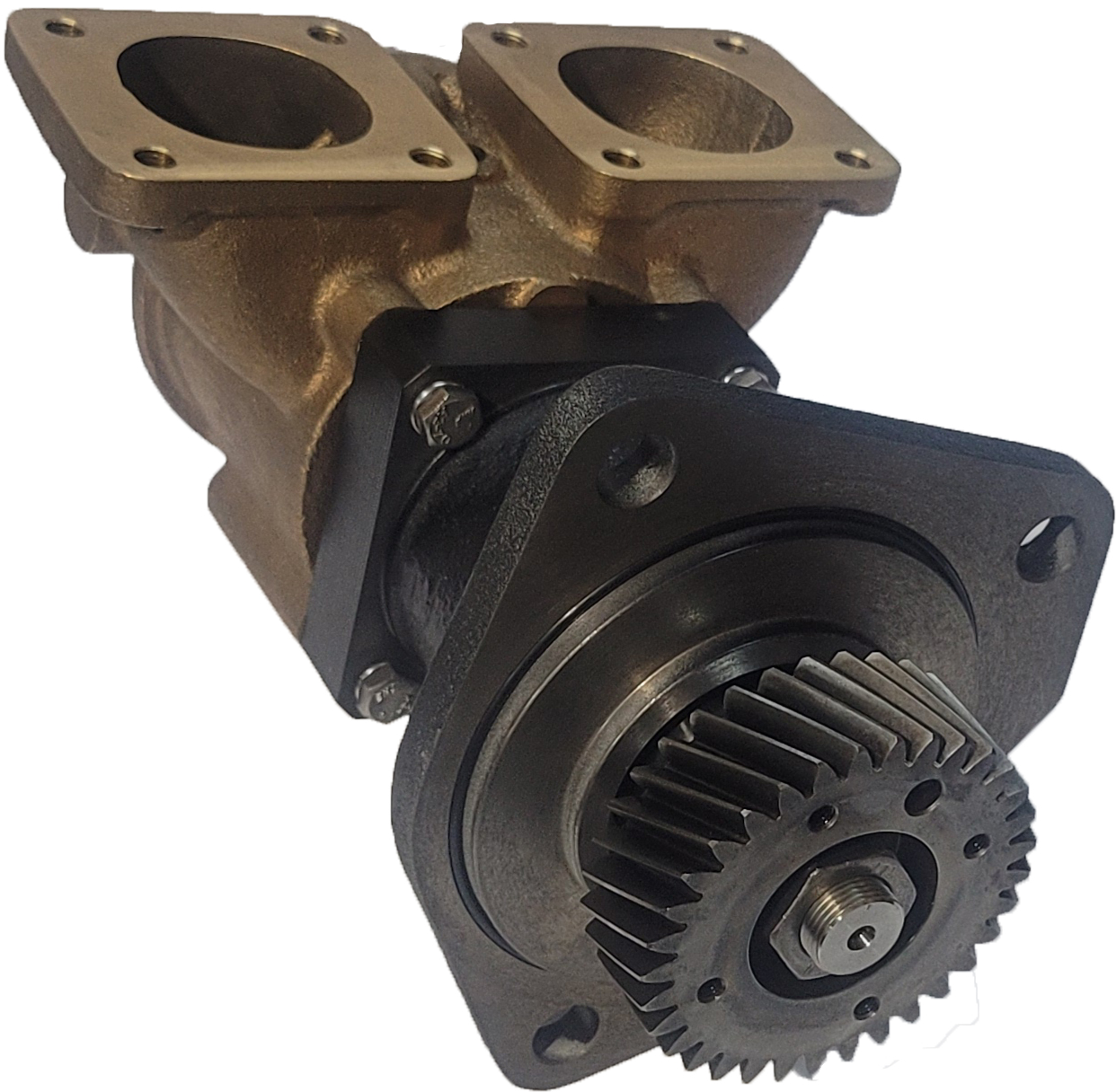 Deniz suyu pompası flexible impeller pump