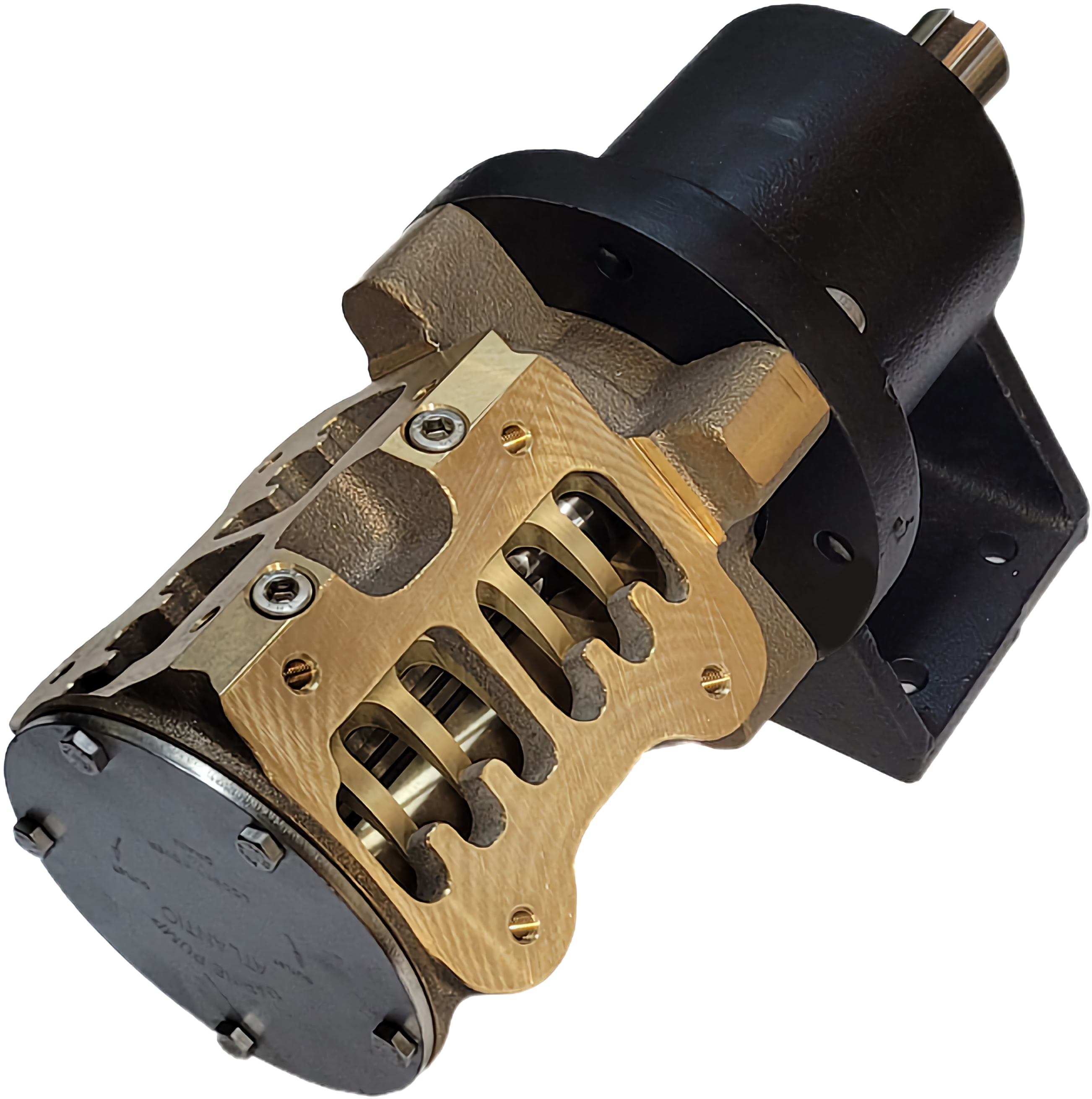 Deniz suyu pompası flexible impeller pump